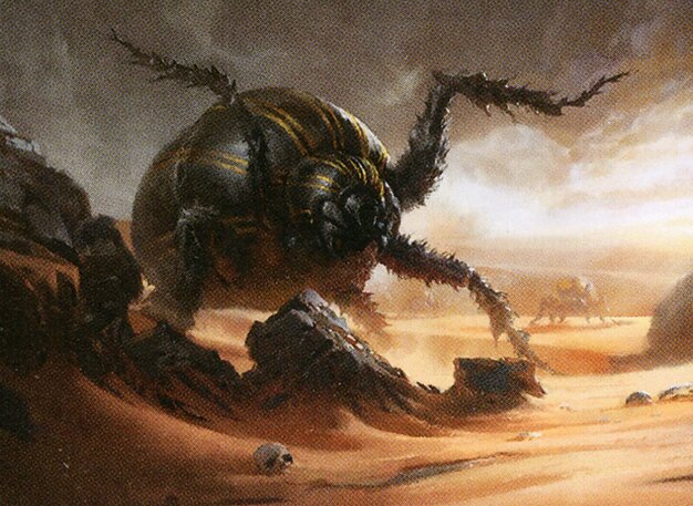 Dune Beetle