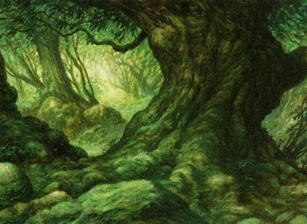 Forest