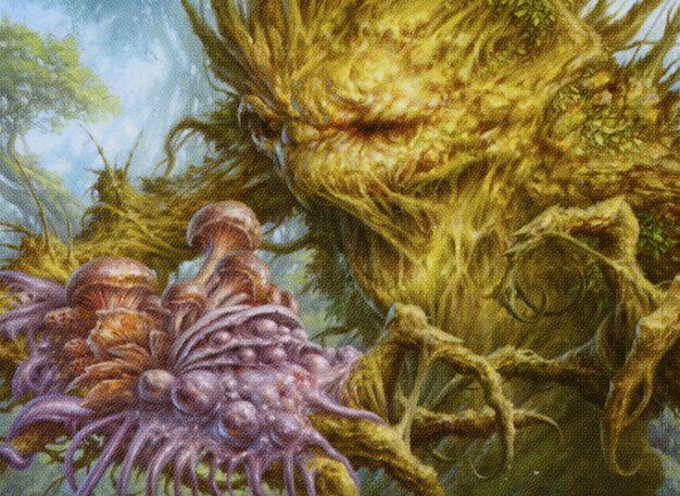 Fungal Infection