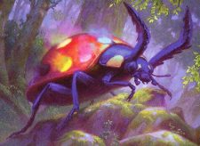 Giant Ladybug