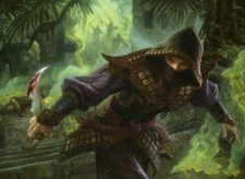 Hooded Assassin