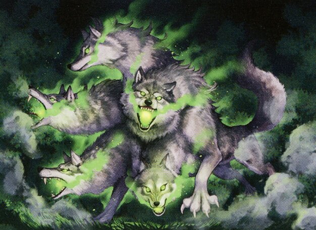 Hydra’s Growth