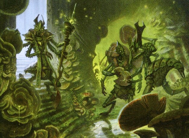 Kraul Foragers