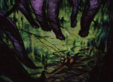 Leechridden Swamp