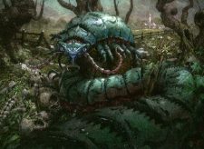 Moldgraf Millipede