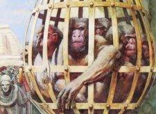 Monkey Cage