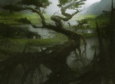 Mortuary Mire