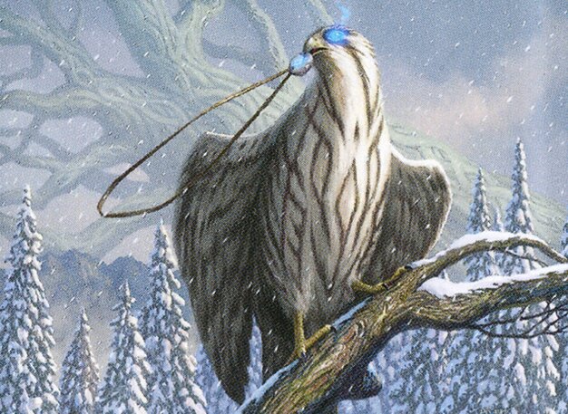 Pilfering Hawk