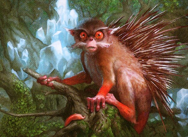 Prickly Marmoset