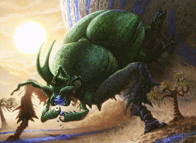 Quarry Beetle