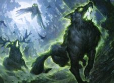 Spectral Hunt-Caller