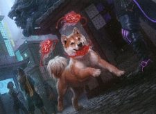Spirited Companion