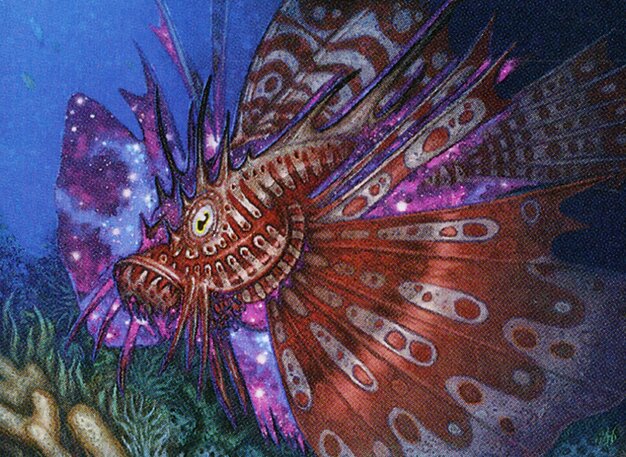 Stinging Lionfish
