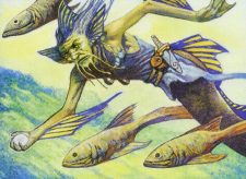 Stonybrook Angler