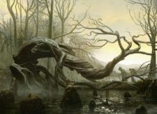 Swamp