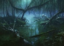 Swamp