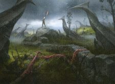 Warped Landscape