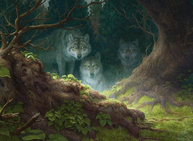 Wolfwillow Haven