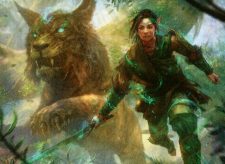 Woodland Champion