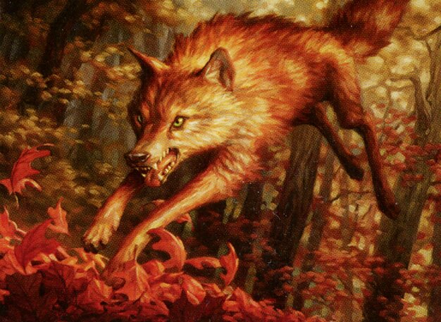 Young Wolf