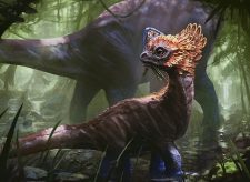 Cherished Hatchling