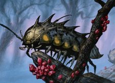 Durable Coilbug