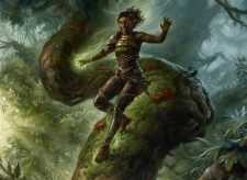 Elvish Visionary