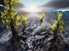 Evolving Wilds