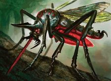 Heartstabber Mosquito