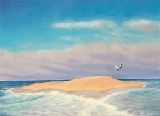 Lonely Sandbar