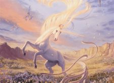 Mesa Unicorn