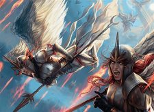 Rally of Wings