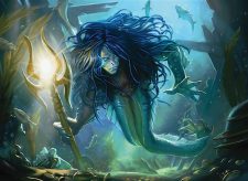 Shipwreck Dowser
