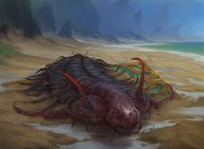 Shore Keeper
