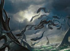 Sky-Eel School