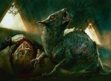 Typhoid Rats