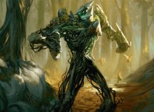 Undergrowth Champion