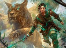 Woodland Champion