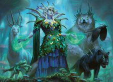 Woodland Liege