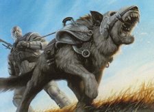 Affa Guard Hound