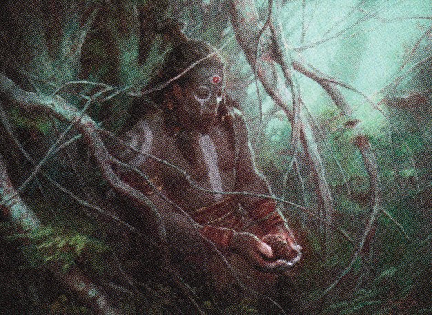Awakener Druid
