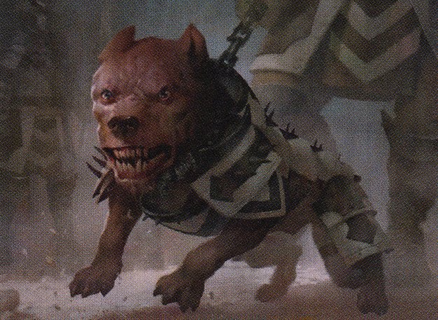 Cathar’s Companion