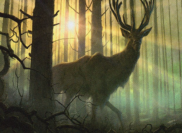 Dawntreader Elk