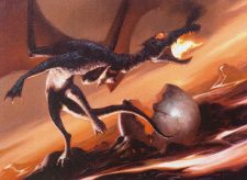 Dragon Hatchling