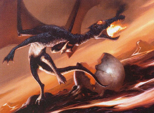 Dragon Hatchling
