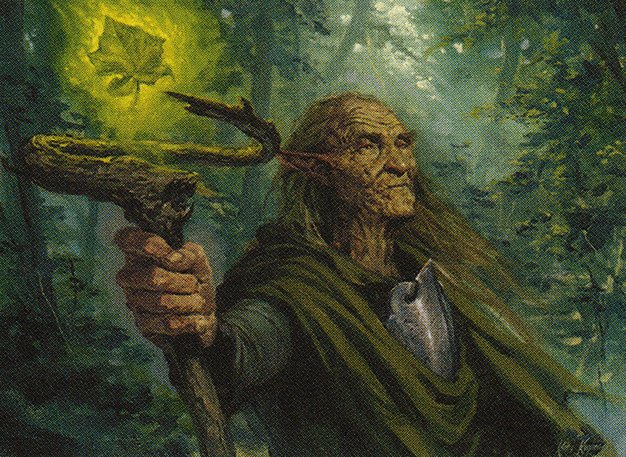 Elvish Archdruid