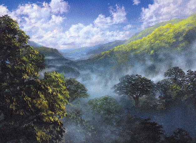 Forest