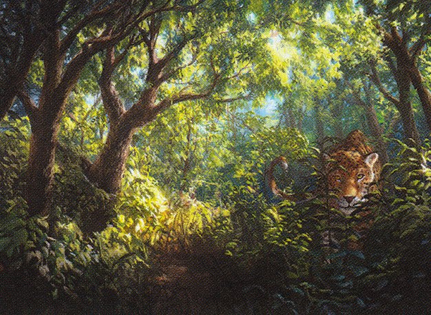 Forest
