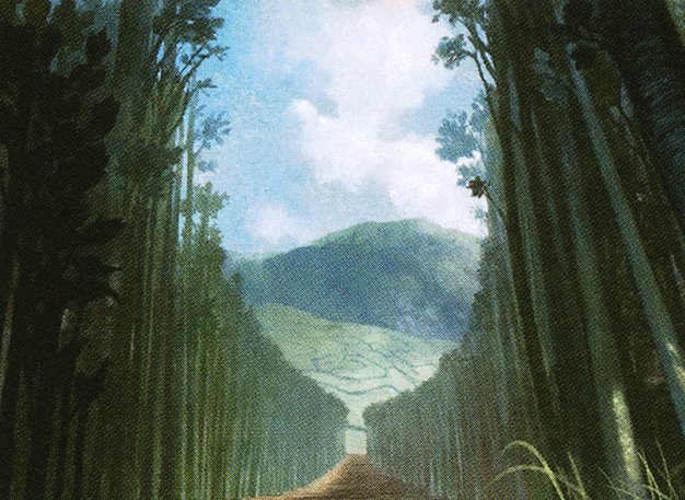 Forest