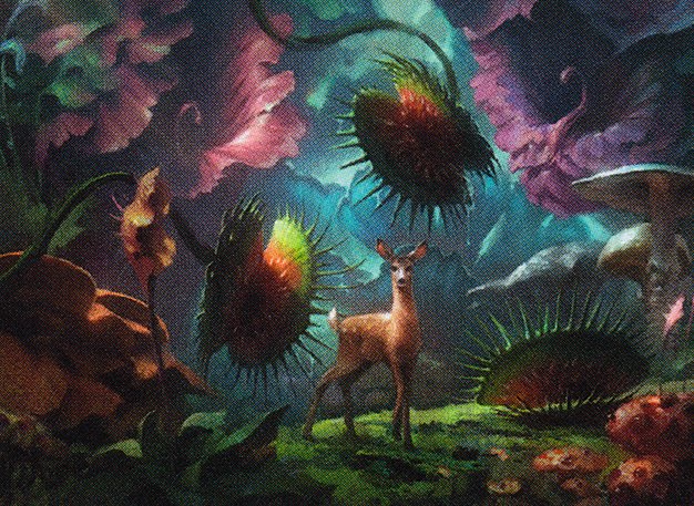 Forest